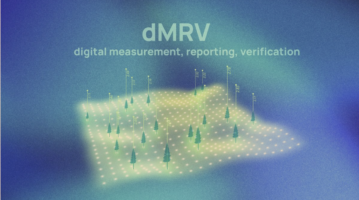Carbontribe featured as a dMRV leader