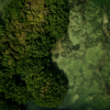 Forest lands