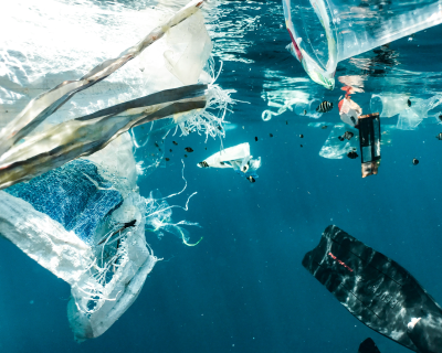 Marine Debris Collection & Responsible Processing, Kagawa