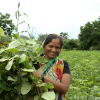 Regenerative Agriculture