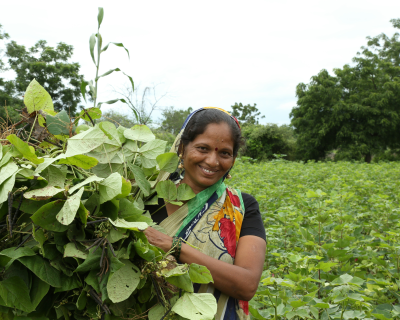 Regenerative Agriculture